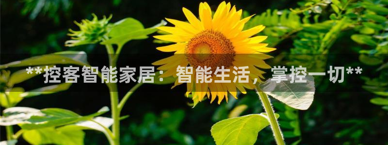 ug环球代理平台官网