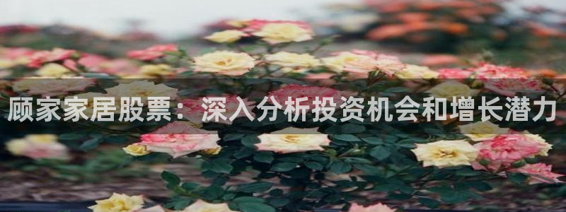 ug环球官网24小时