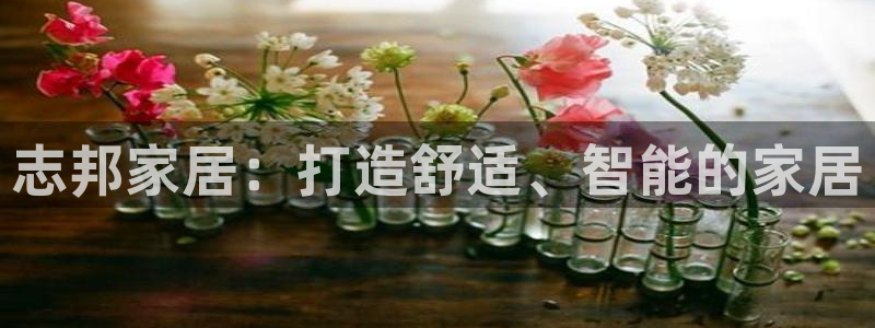 ug环球视讯延时软件