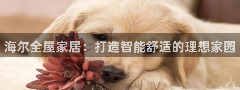 UG环球会员官方
