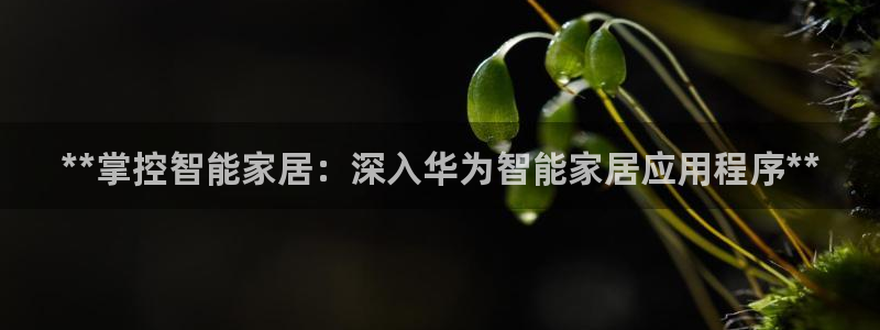 ug环球会员网站登录