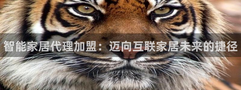 ug环球视讯