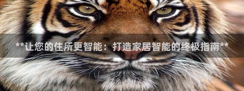 ug环球注册登录