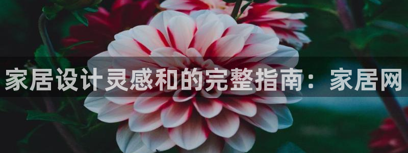 ug环球游戏网站官网