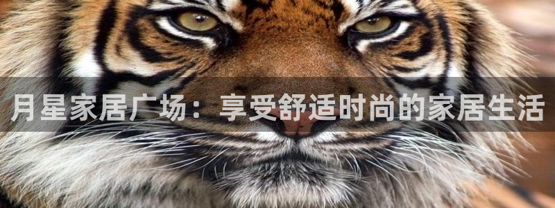 UG环球视讯下载