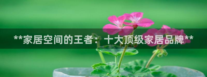 ug环球代理平台
