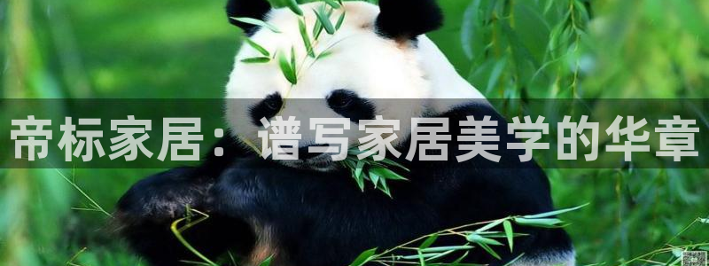 ug环球会员注册登录