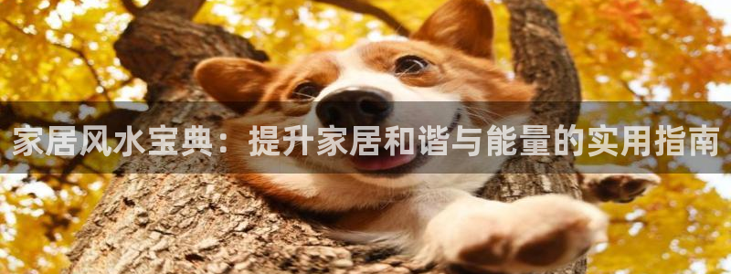 ug环球买代理