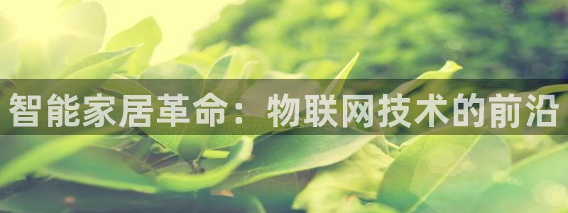 ug环球官网代理