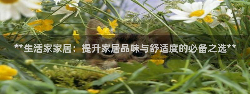 ug环球网站