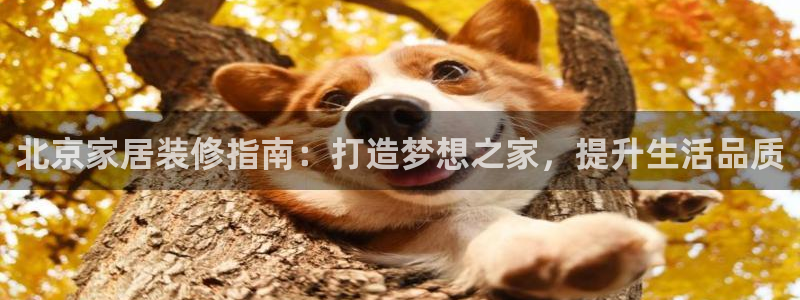 UG环球一比一包杀威agkk19在