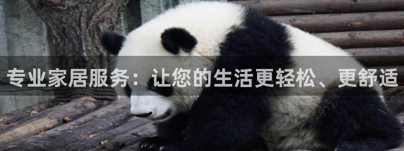 ug环球官网入口