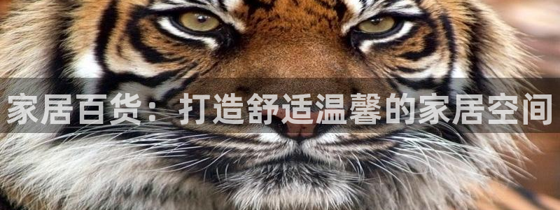 ug环球密码重置是多少位数啊