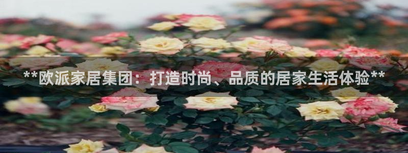 ug环球开户