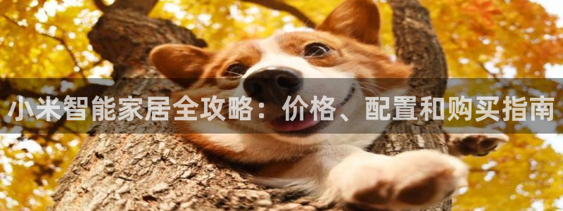 ug环球xkk908搜徽
