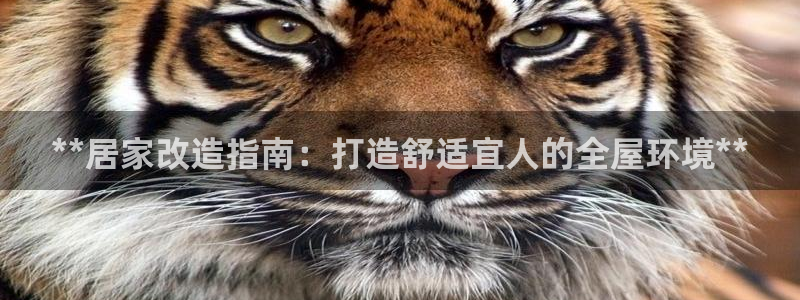 ug环球视讯官网