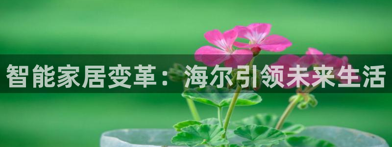 环球ug官网代理