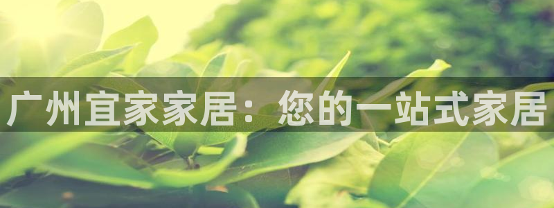 UG环球会员官方