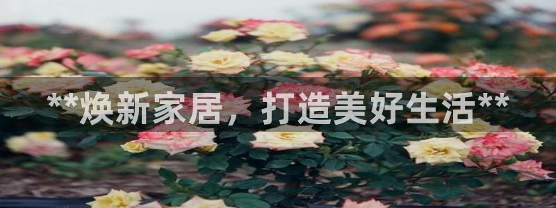 ug环球买代理