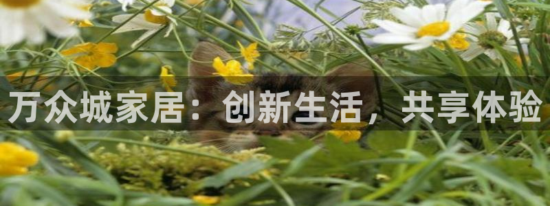 ug环球官网入口