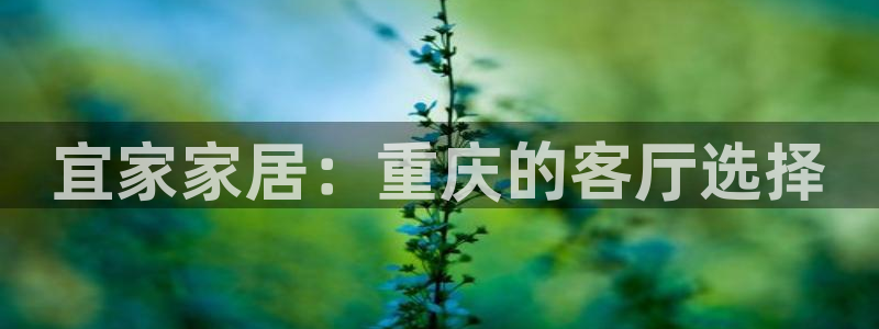 ug环球会员充值