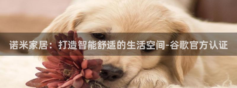 ug环球国际官网