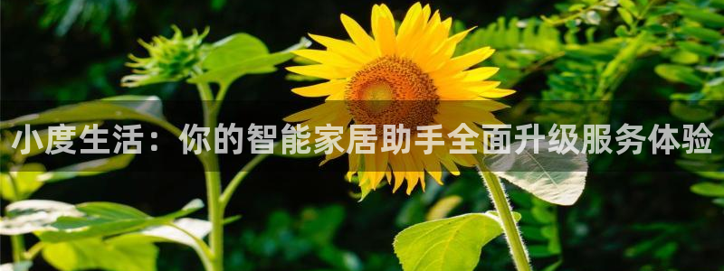 ug环球官网入口