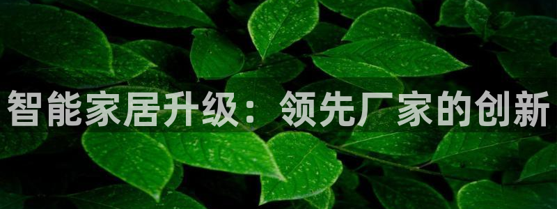 ug环球代理合作