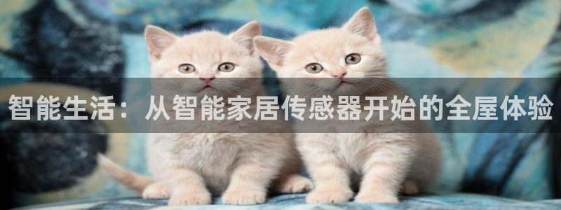 ug环球网站