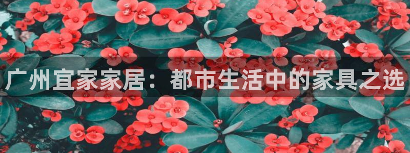 ug环球官网开户