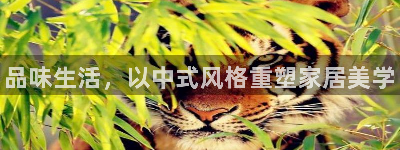 环球ug死网