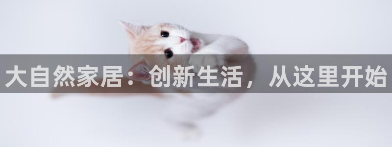 ug环球正网包杀