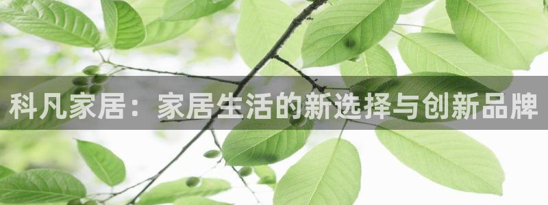 ug环球代理合作