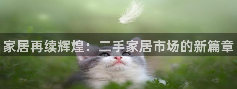 ug环球视讯充值