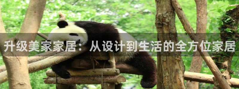 ug环球代理平台官网