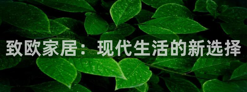 UG环球会员官方