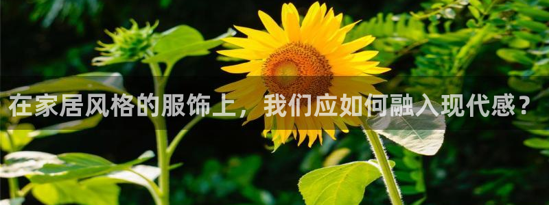 ug环球正网买分