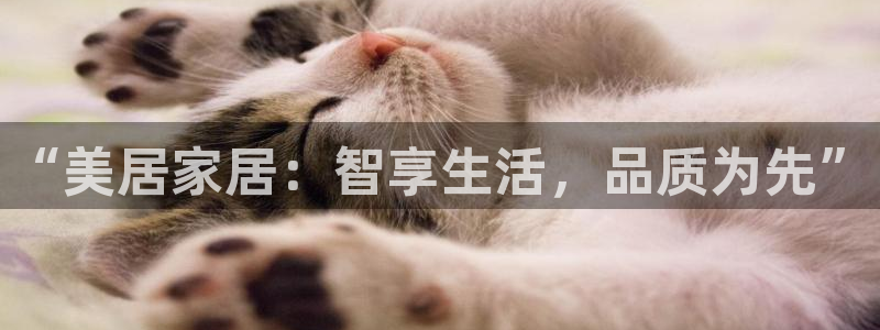 ug环球正网买分