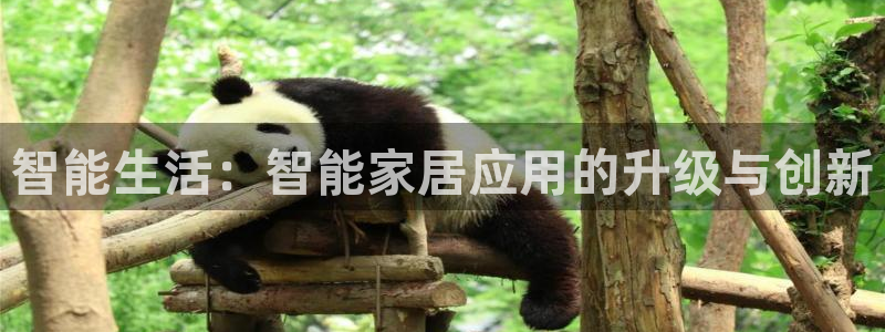 ug环球代理开户