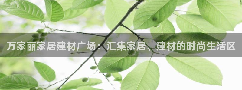 ug环球注册会员