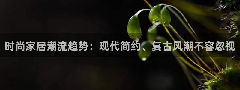 ug环球官网注册