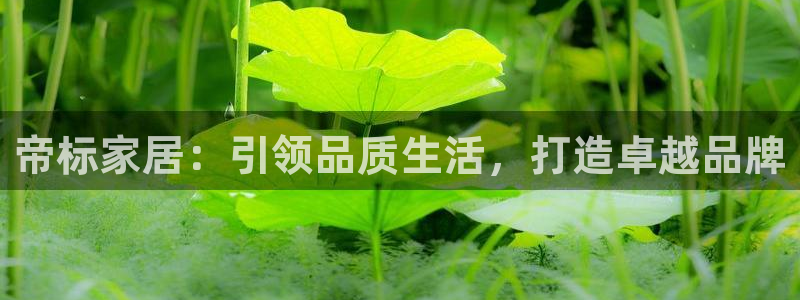 ug环球视讯官网登录入口