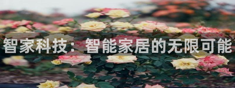 环球ug官网会员注册