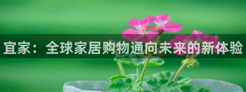 ug环球会员注册