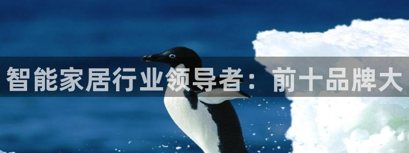 ug环球正网包杀