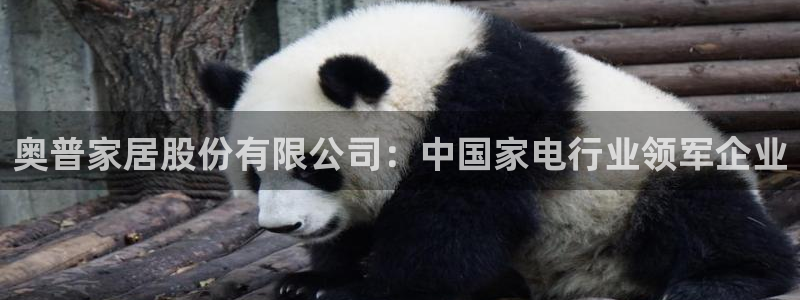 ug环球国际官网