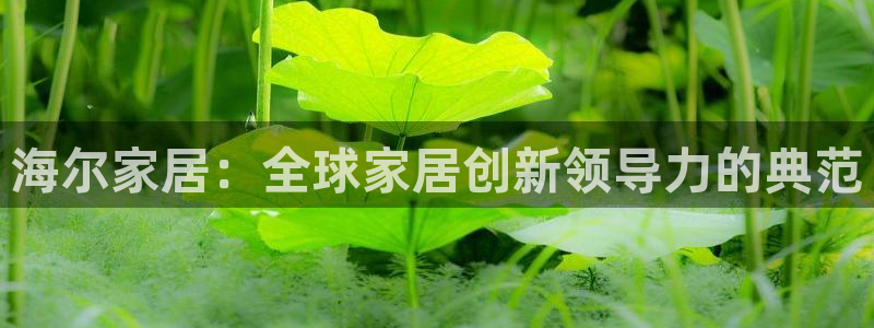 ug环球买分卖分