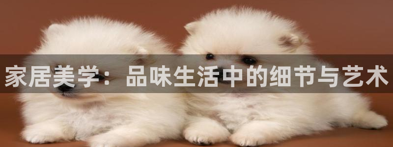 ug环球假网一比一人才